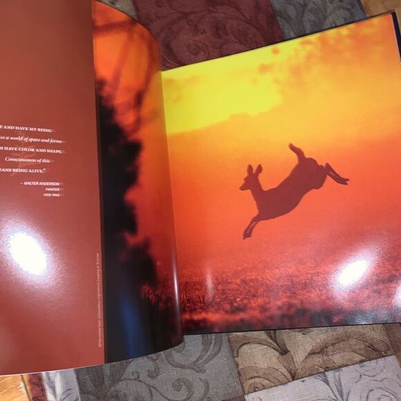 Sanctuary Mississippi’s Coastal Plain Coffee Table Book - Picture 4 of 7